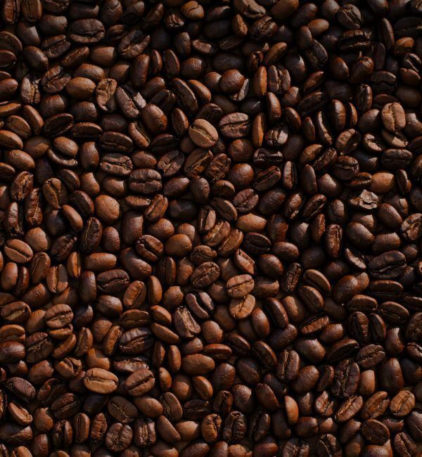 canela-coffee-house-cafetería-de-especialidad-en-puerto-de-sagunto